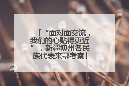 “面对面交流，我们的心贴得更近”，新疆博州各民族代表来鄂考察