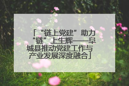 “链上党建”助力“链”上生辉——阜城县推动党建工作与产业发展深度融合