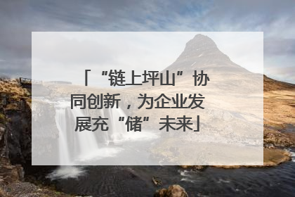 “链上坪山”协同创新，为企业发展充“储”未来