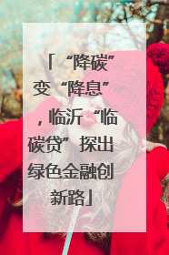 “降碳”变“降息”，临沂“临碳贷”探出绿色金融创新路