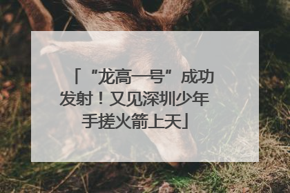 “龙高一号”成功发射！又见深圳少年手搓火箭上天