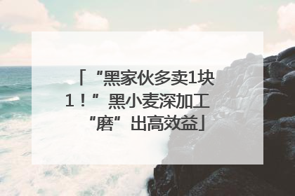 “黑家伙多卖1块1！”黑小麦深加工“磨”出高效益