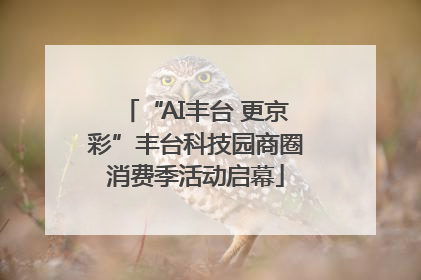 “AI丰台 更京彩”丰台科技园商圈消费季活动启幕