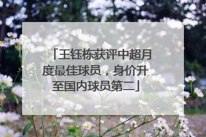 王钰栋获评中超月度最佳球员，身价升至国内球员第二