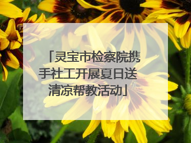 灵宝市检察院携手社工开展夏日送清凉帮教活动