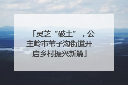 灵芝“破土”，公主岭市苇子沟街道开启乡村振兴新篇