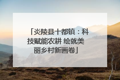 炎陵县十都镇：科技赋能农耕 绘就美丽乡村新画卷