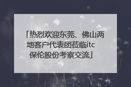 热烈欢迎东莞、佛山两地客户代表团莅临itc保伦股份考察交流