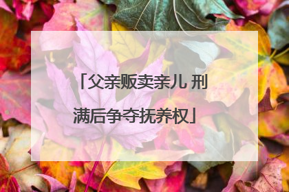父亲贩卖亲儿 刑满后争夺抚养权