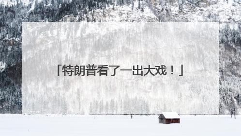 特朗普看了一出大戏！