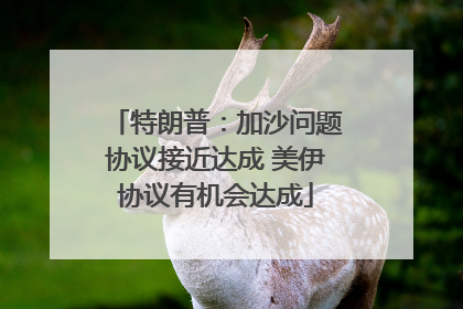 特朗普：加沙问题协议接近达成 美伊协议有机会达成
