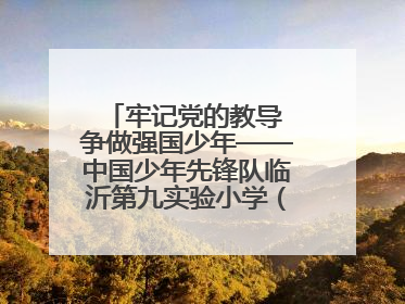 牢记党的教导 争做强国少年——中国少年先锋队临沂第九实验小学（北校区）第三次代表大会胜利召开