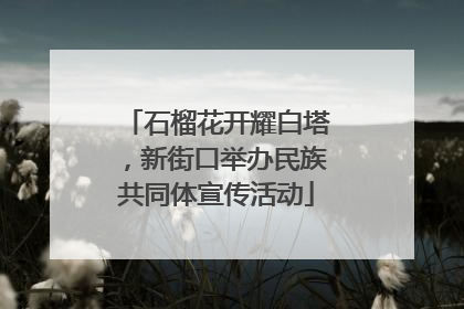 石榴花开耀白塔，新街口举办民族共同体宣传活动