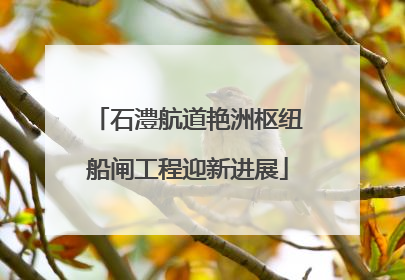 石澧航道艳洲枢纽船闸工程迎新进展