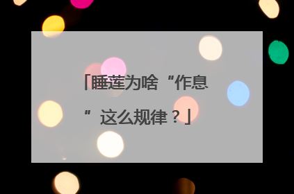 睡莲为啥“作息”这么规律？