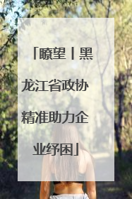 瞭望丨黑龙江省政协精准助力企业纾困