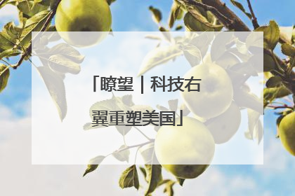 瞭望｜科技右翼重塑美国