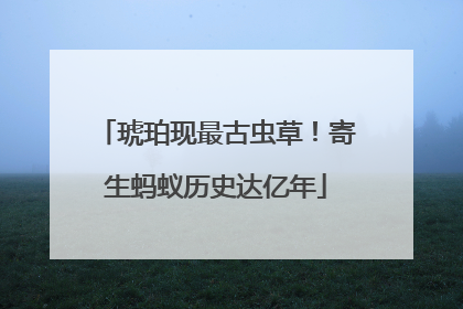 琥珀现最古虫草！寄生蚂蚁历史达亿年