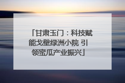 甘肃玉门：科技赋能戈壁绿洲小院 引领蜜瓜产业振兴