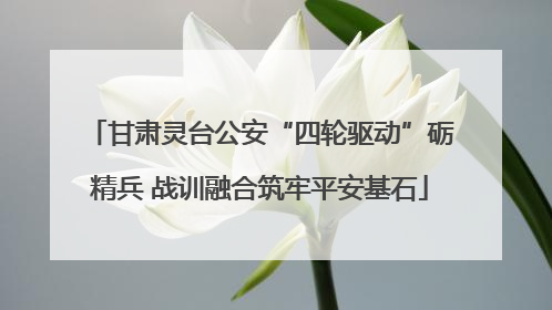 甘肃灵台公安“四轮驱动”砺精兵 战训融合筑牢平安基石