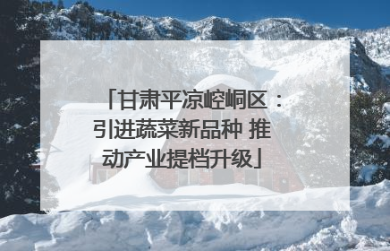 甘肃平凉崆峒区：引进蔬菜新品种 推动产业提档升级