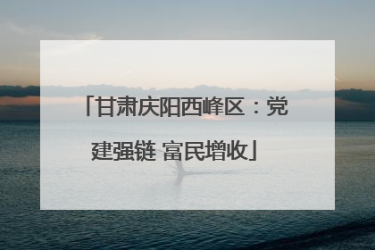 甘肃庆阳西峰区：党建强链 富民增收