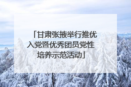 甘肃张掖举行推优入党暨优秀团员党性培养示范活动