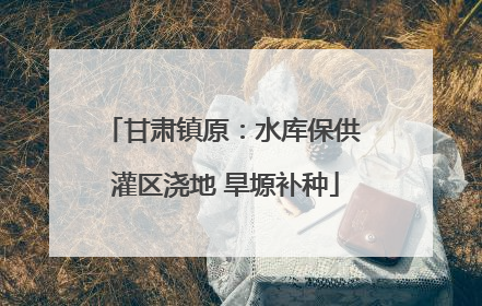 甘肃镇原：水库保供 灌区浇地 旱塬补种