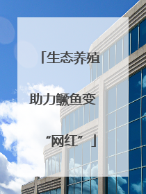 生态养殖助力鳜鱼变“网红”