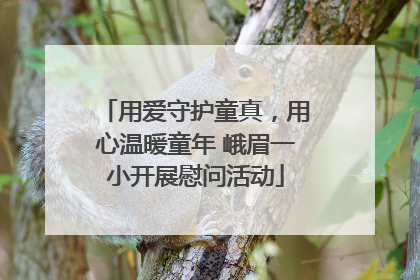 用爱守护童真，用心温暖童年 峨眉一小开展慰问活动