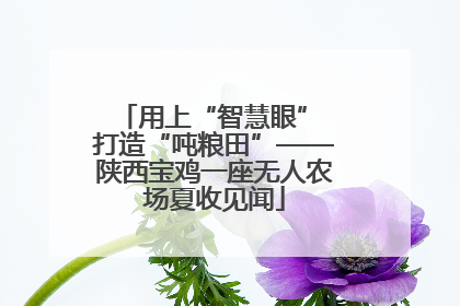 用上“智慧眼” 打造“吨粮田”——陕西宝鸡一座无人农场夏收见闻