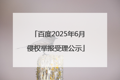 百度2025年6月侵权举报受理公示