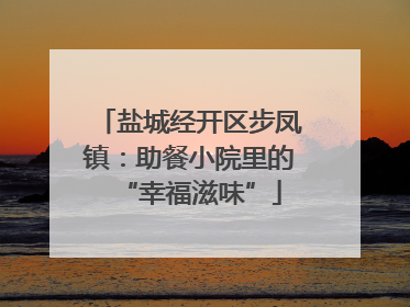 盐城经开区步凤镇：助餐小院里的“幸福滋味”