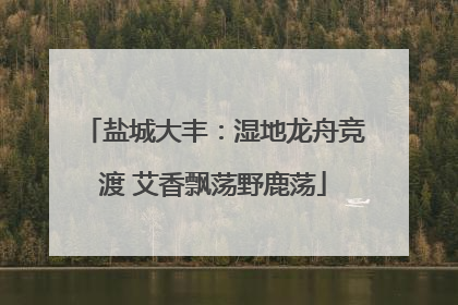 盐城大丰：湿地龙舟竞渡 艾香飘荡野鹿荡