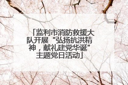 监利市消防救援大队开展“弘扬抗洪精神，献礼建党华诞”主题党日活动