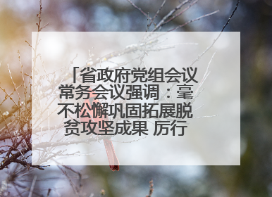 省政府党组会议常务会议强调：毫不松懈巩固拓展脱贫攻坚成果 厉行节约反对浪费弘扬优良作风