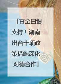 真金白银支持！湖南出台十项政策措施深化对德合作