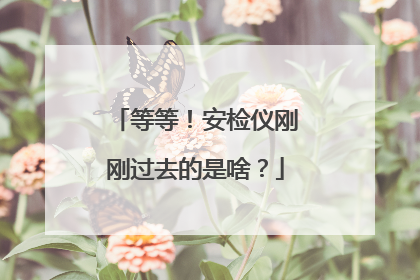 等等！安检仪刚刚过去的是啥？