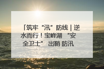 筑牢“汛”防线｜逆水而行！宝峰湖 “安全卫士” 出鞘 防汛应急再添硬核力量