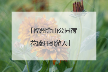 福州金山公园荷花盛开引游人