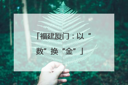 福建厦门：以“数”换“金”