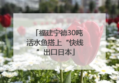 福建宁德30吨活水鱼搭上“快线”出口日本
