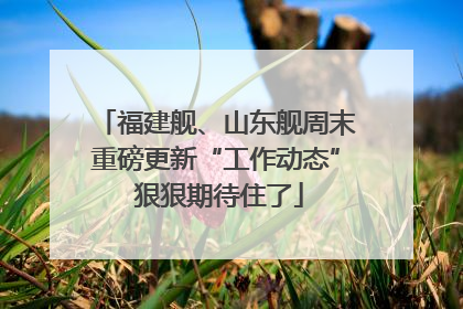 福建舰、山东舰周末重磅更新“工作动态” 狠狠期待住了