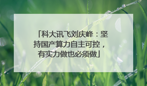 科大讯飞刘庆峰：坚持国产算力自主可控，有实力做也必须做