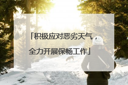 积极应对恶劣天气，全力开展保畅工作