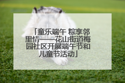 童乐端午 粽享邻里情——花山街道梅园社区开展端午节和儿童节活动