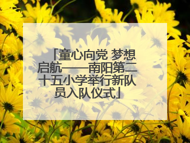 童心向党 梦想启航——南阳第二十五小学举行新队员入队仪式