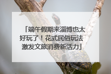 端午假期来淄博也太好玩了！花式民俗玩法激发文旅消费新活力