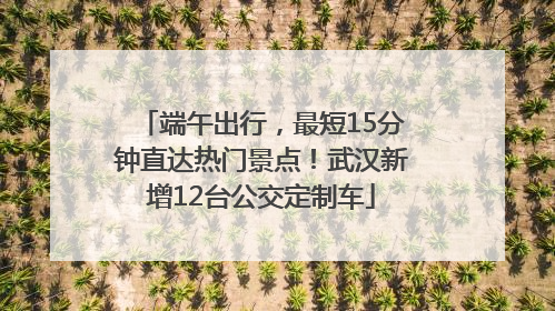 端午出行，最短15分钟直达热门景点！武汉新增12台公交定制车