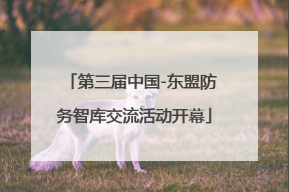 第三届中国-东盟防务智库交流活动开幕